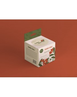 Packaging carton - Etuis à Suspendre fond semi-automatique