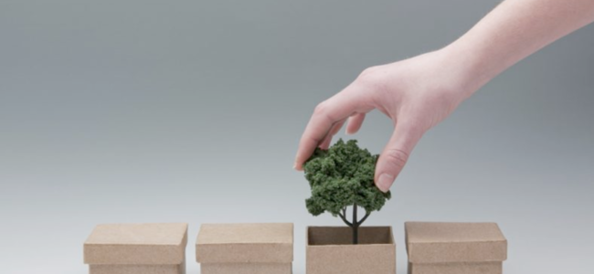 7 RÈGLES DU PACKAGING DURABLE : LE PARI DE L’ÉCO-CONCEPTION
