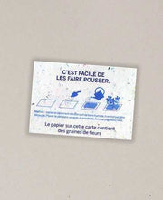 Carte de visite papier ensemencé 85x55mm - recto/verso