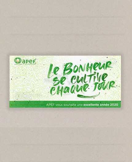 Flyer 10x21 papier ensemencé - recto/verso