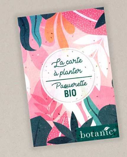 Flyer A5 papier ensemencé - recto/verso